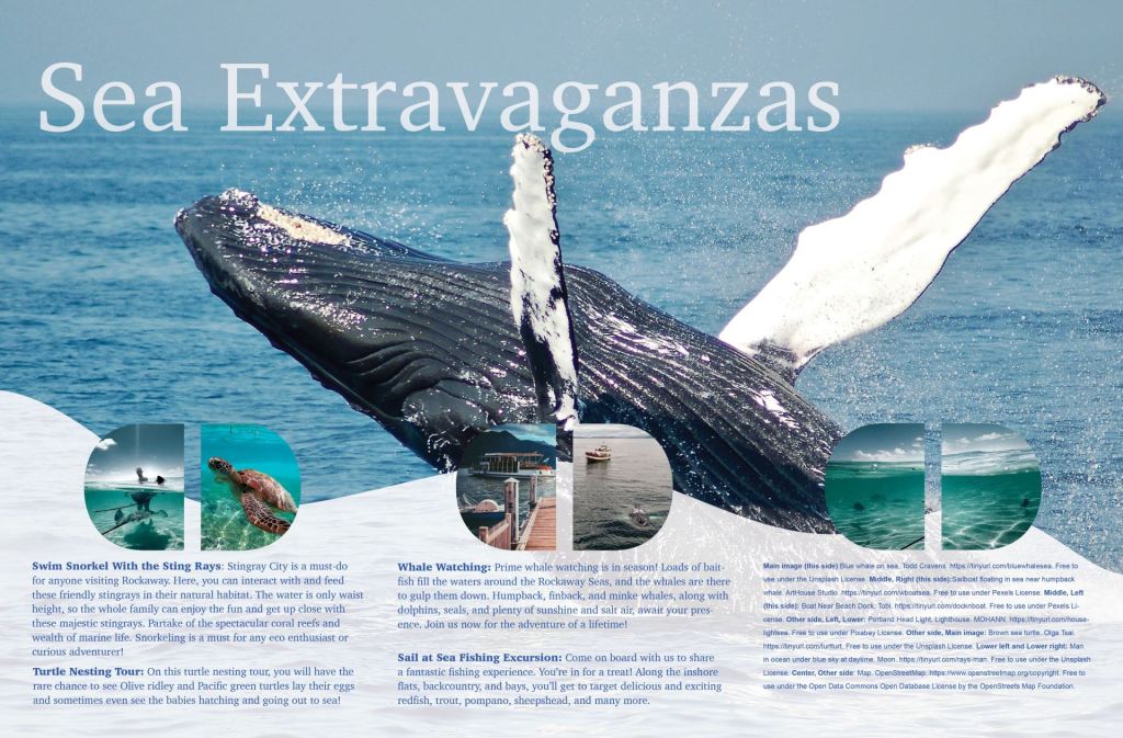 Inner design of a Piddle Paddle Tours brochure.