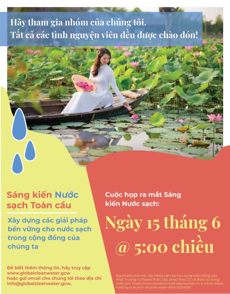 Vietnamese Water Flyer
